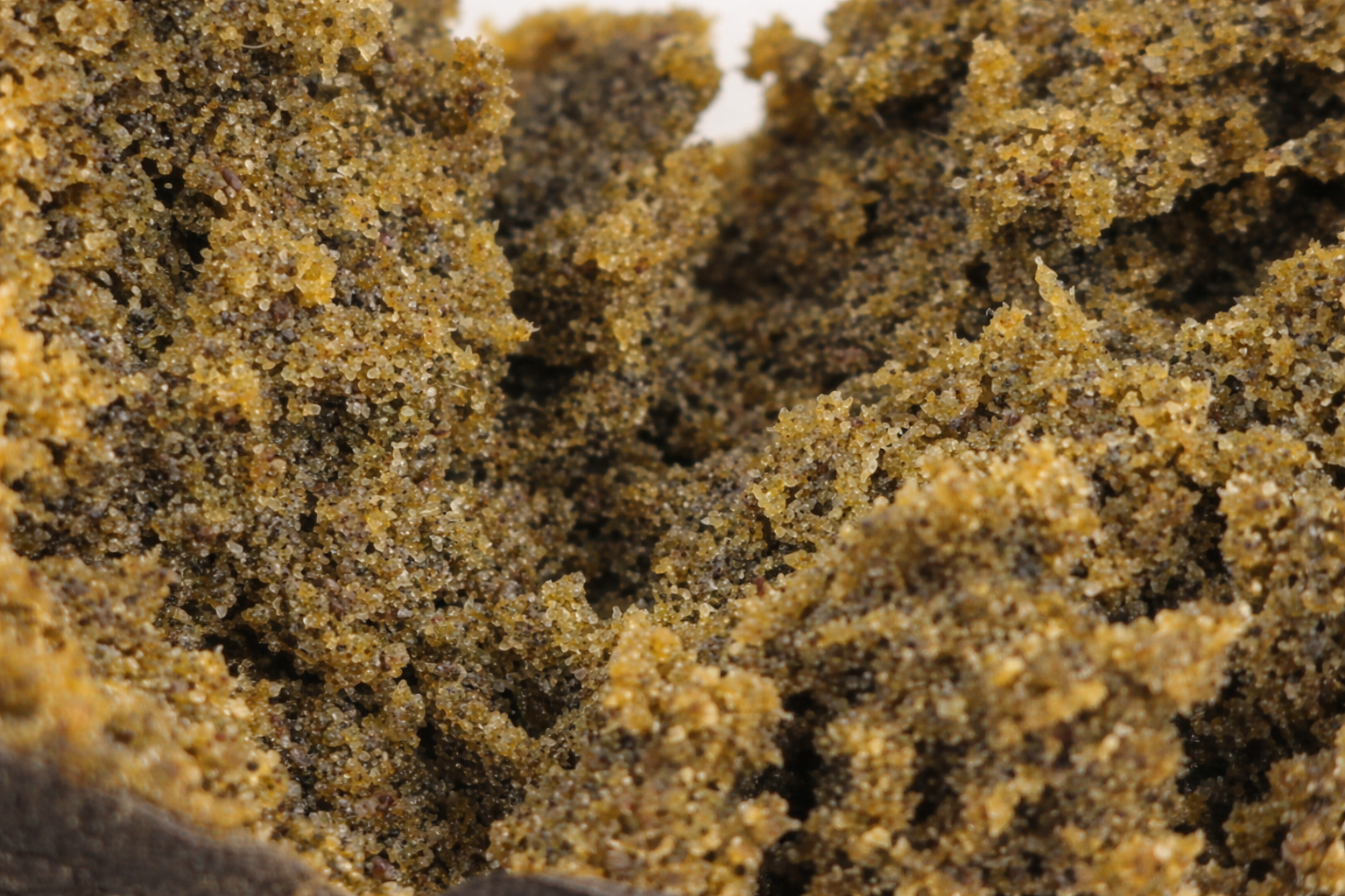 Gros plan bubble hash CBD Amnesia Haze