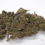 Fleur CBD Purple Cookie indoor