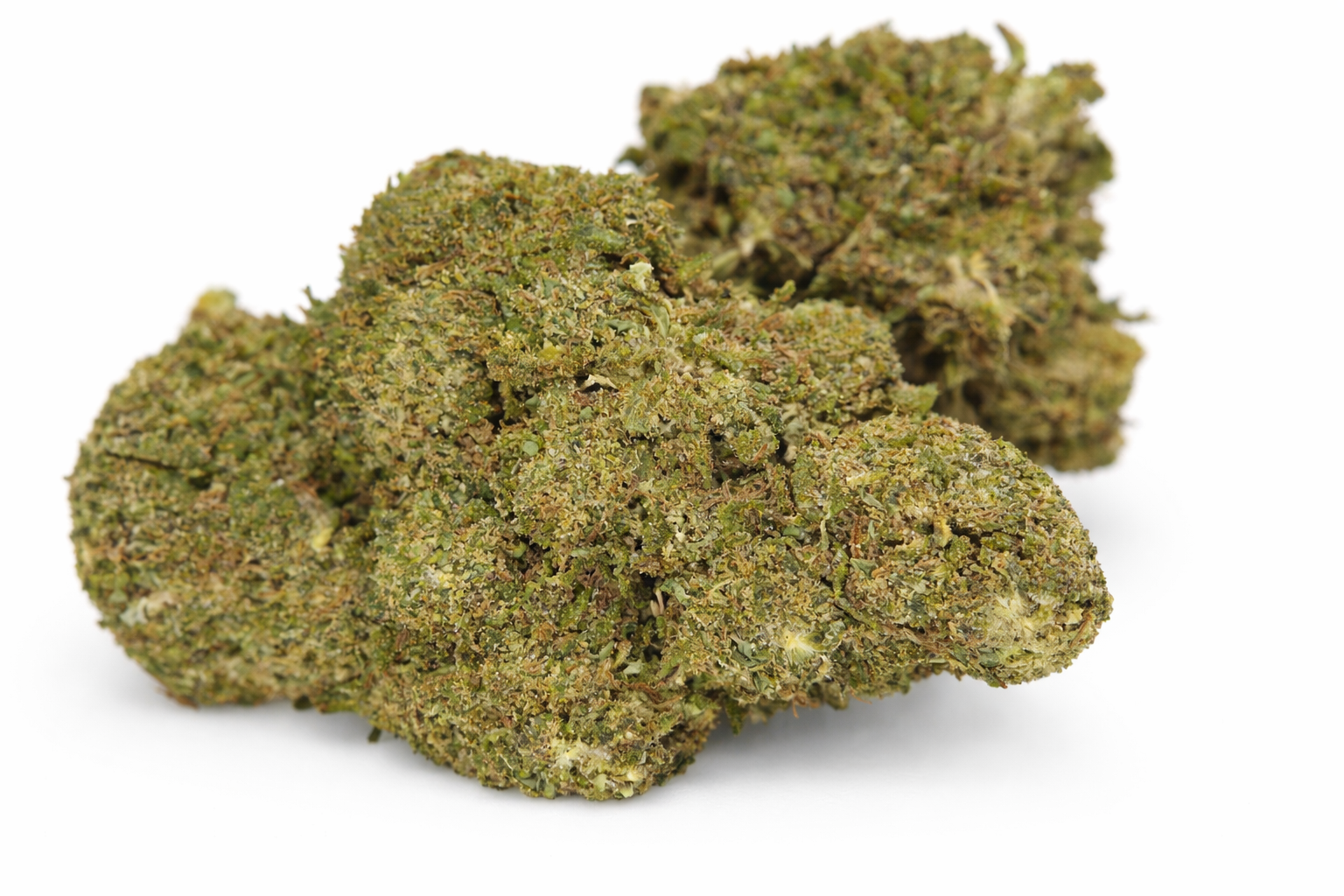 Fleur CBD Amnesia Haze indoor