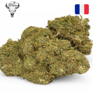 Fleur CBD Amnesia Haze indoor