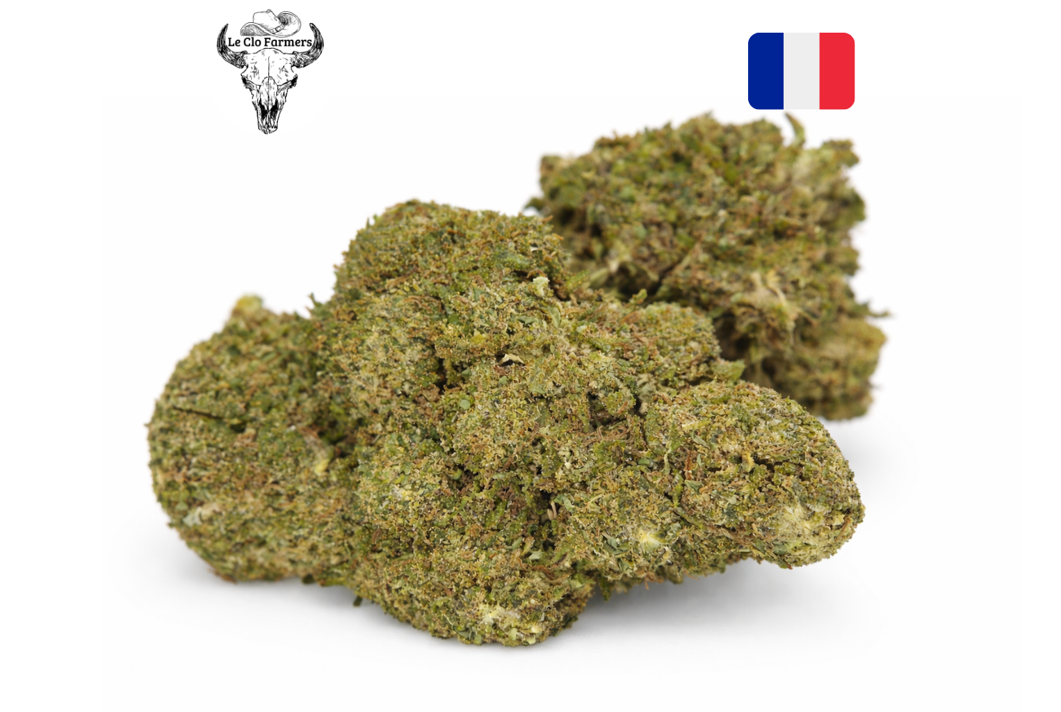 Fleur CBD Amnesia Haze indoor
