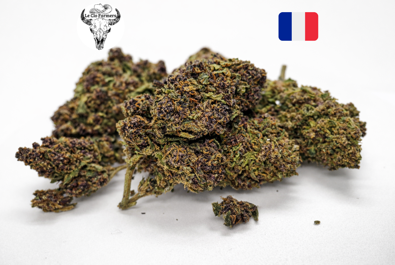 Fleur CBD Purple Cookie