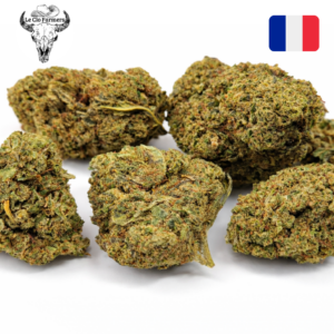 Fleur de CBD Gelato