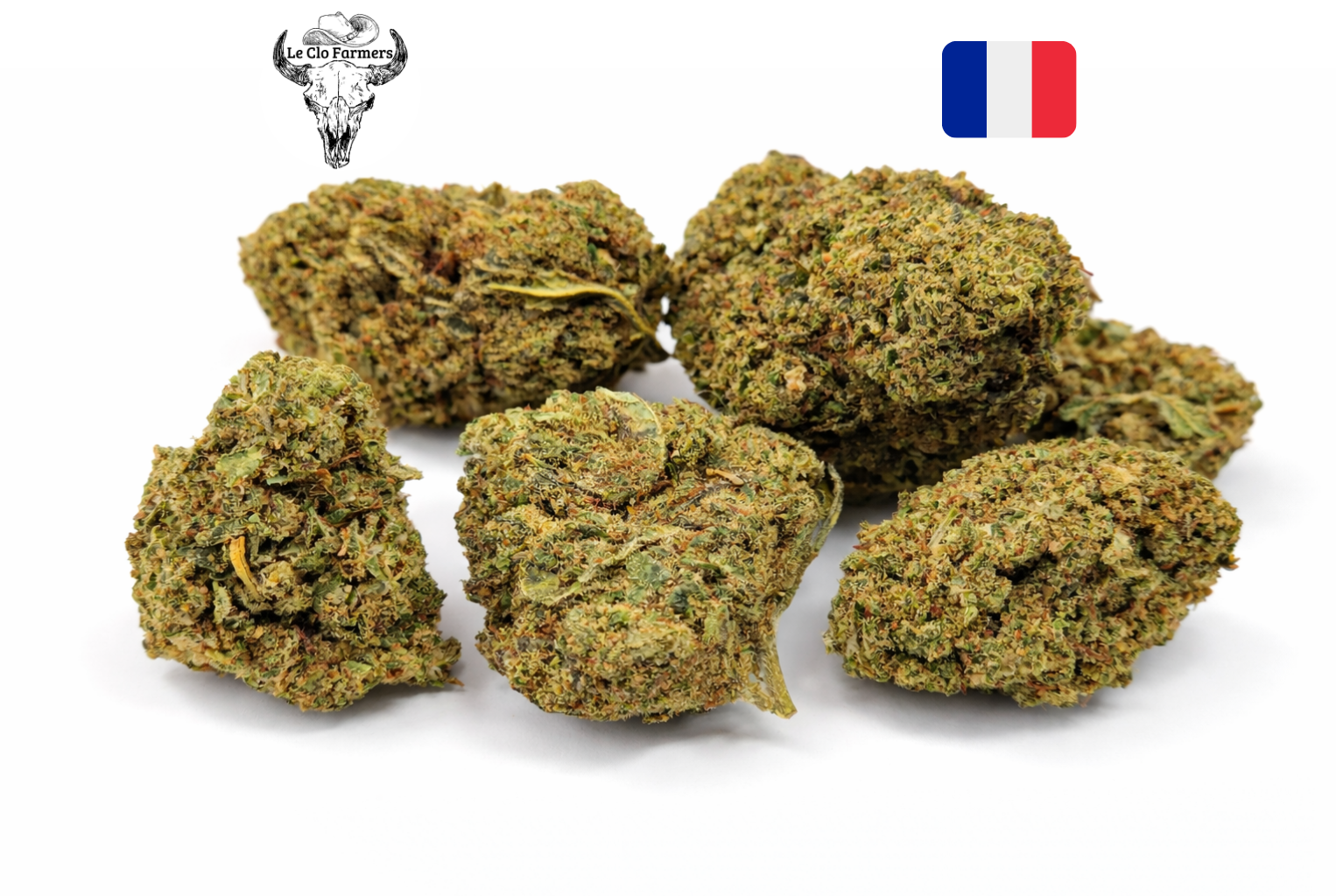 Fleur de CBD Gelato