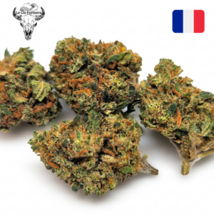 Fleur de CBD Critical